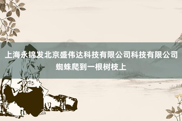 上海永锦发北京盛伟达科技有限公司科技有限公司蜘蛛爬到一根树枝上