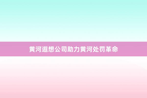黄河遐想公司助力黄河处罚革命