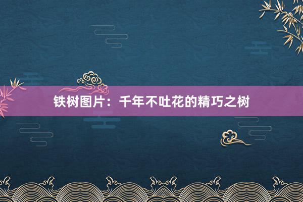 铁树图片：千年不吐花的精巧之树