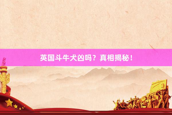 英国斗牛犬凶吗？真相揭秘！