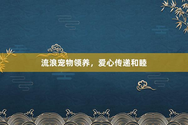 流浪宠物领养,爱心传递和睦