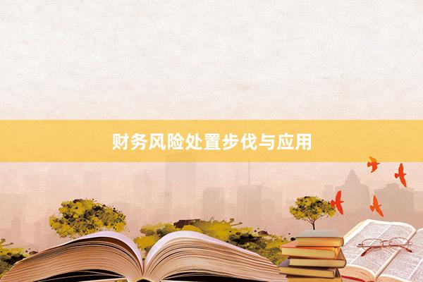 财务风险处置步伐与应用