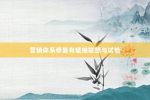 营销体系修复有缱绻联想与试验